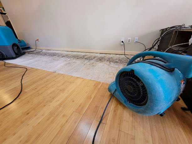 Professional Water Extraction technician working in Galesburg, MI